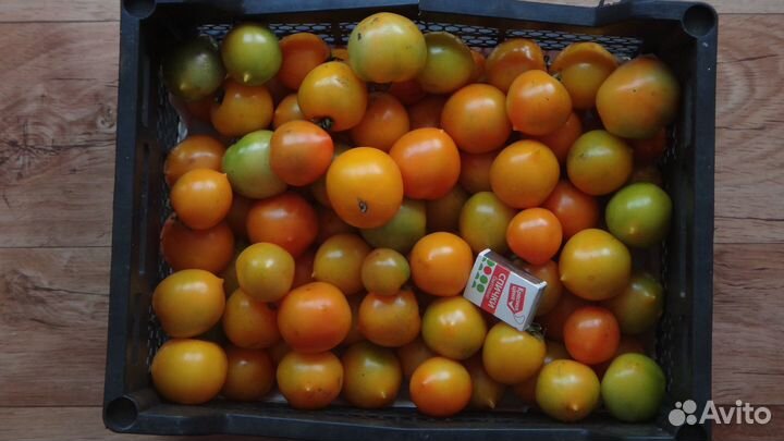 Продукты со своего огорода