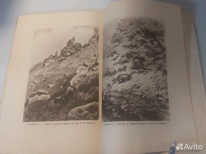 Н.А.Бобринский / Животный мир и природа СССР 1948