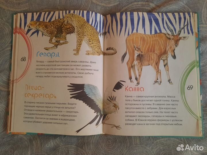 Большая энциклопедия животных для малышей