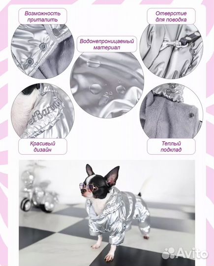 Комбинезон костюм для собак