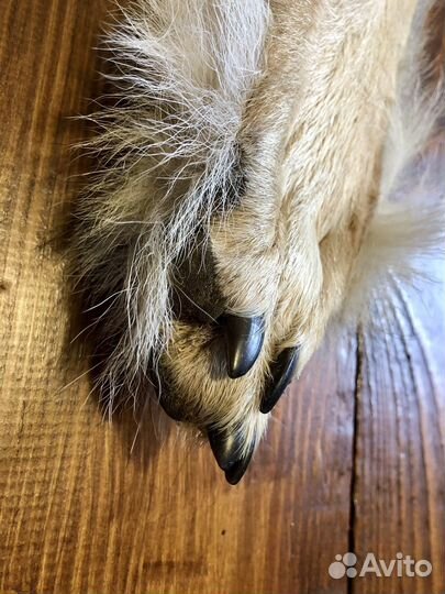 Сувенирный нож