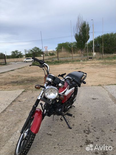 Motoland Alpha RX-11