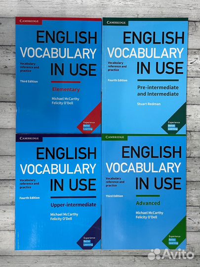 English vocabulary in use