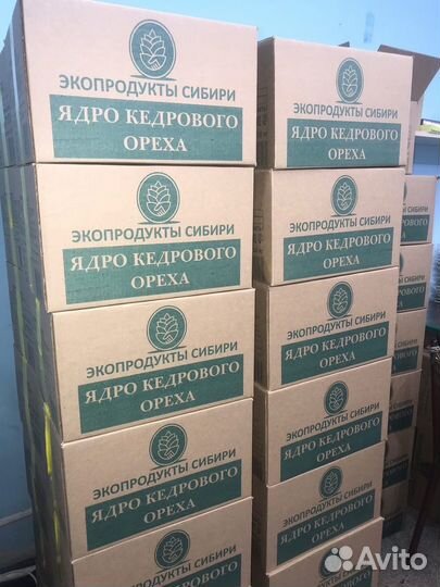 Ядро кедрового ореха