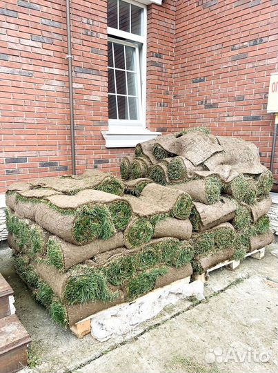 Рулонный газон от производителя. Укладка газона