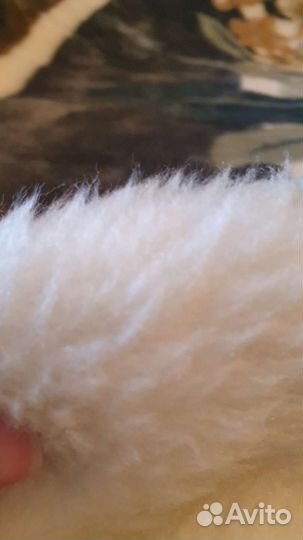 Плед плюшевый 200240