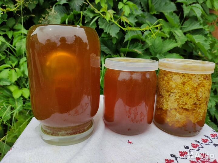 Мёд, урожай 2023 г