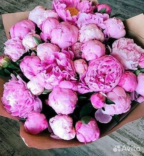 Пионы Букет пионов