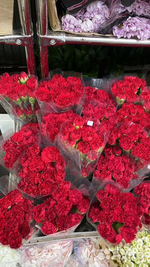 Красные гвоздикит букет гвоздик