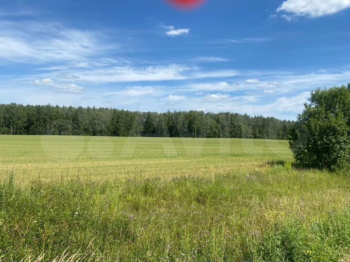 Участок 6,7 га (ИЖС)