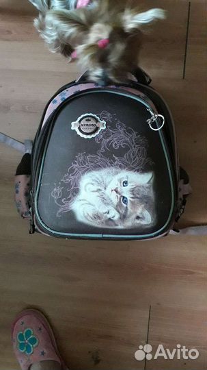 Школьный рюкзак