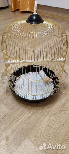 Клетка для попугая