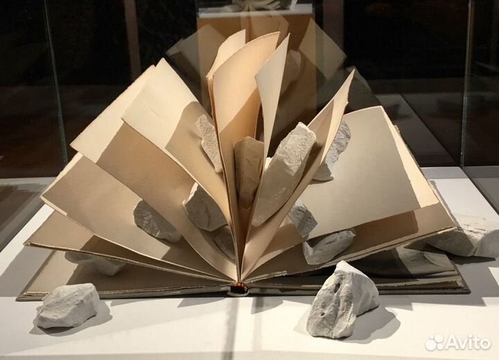 Редактор научных работ (дипломы и диссертации)