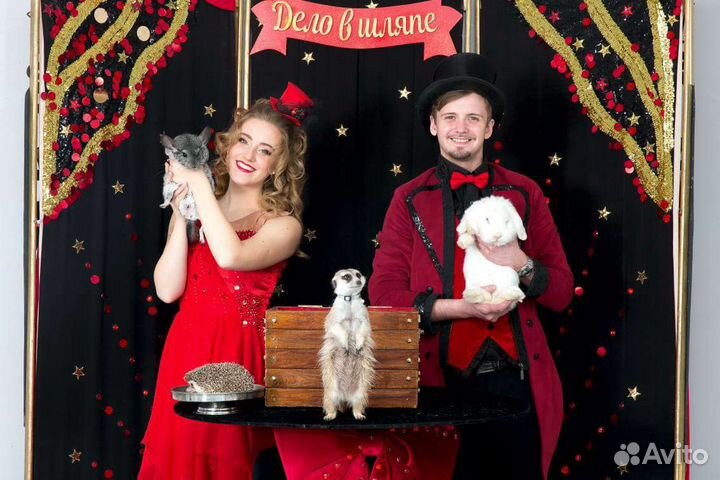 Шоу с животными хищники на фотосессию экзотические