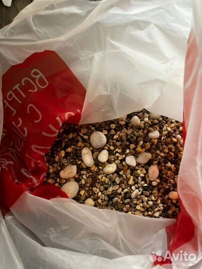 Рыба, грунт