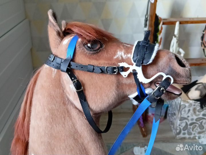 Амуниция для хоббихорса на заказ