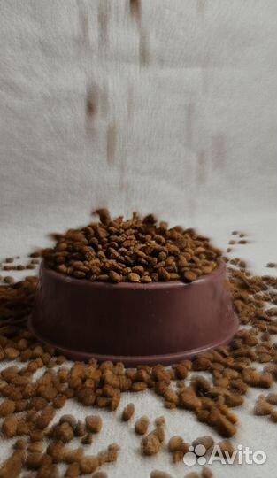 Сухой корм purina для собак и кошек