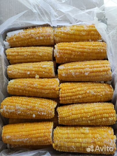 Кукуруза в початках замороженная