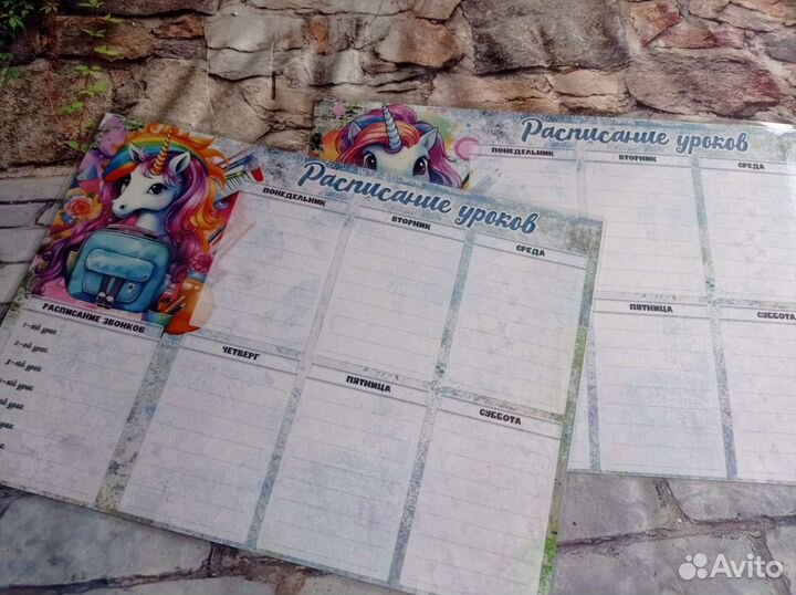 Расписание уроков пиши стирай