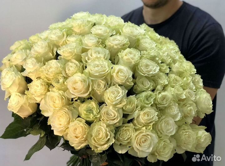 Розы гиганты 140 150 160 170 180 200
