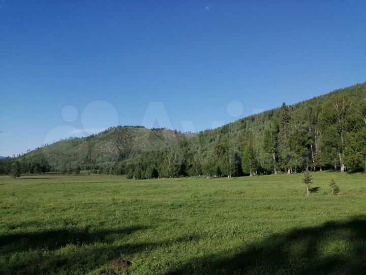 Участок 2,42 га (СНТ, ДНП)