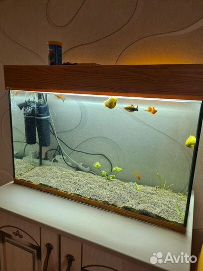 Аквариум