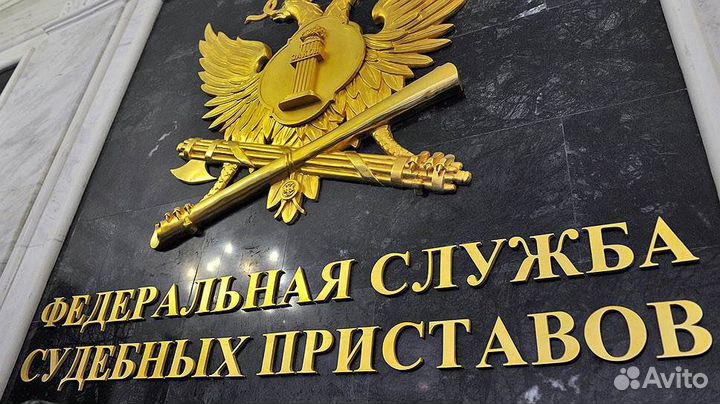 Долги, фссп, Банкротство