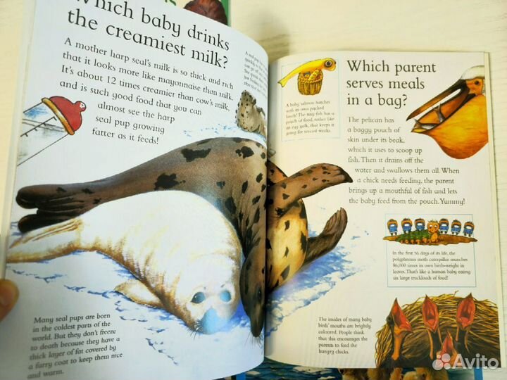 I Wonder whyновые книги на английском языке