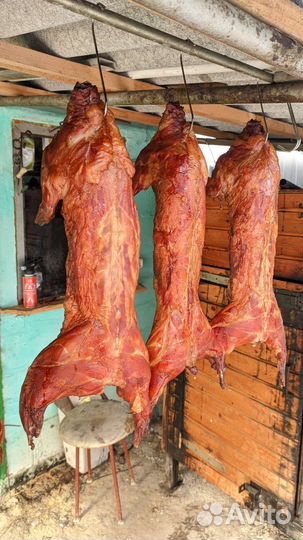 Домашнее копчение и колбаса