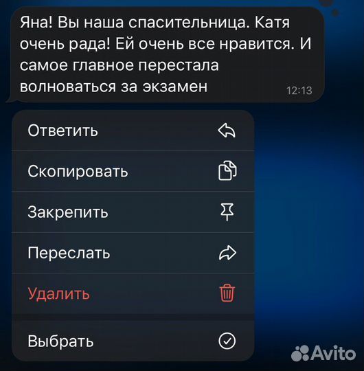 Репетитор по русскому языку и литературе