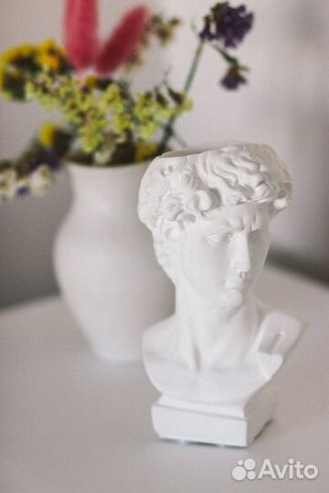 Голова Бюст Давид