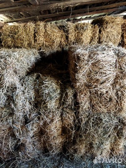 Сено люцерны в тюках