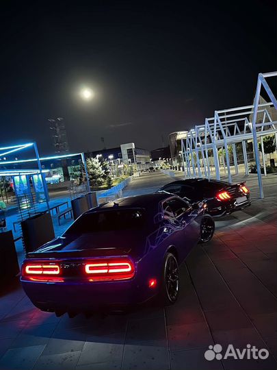 Dodge Challenger 3.6 AT, 2020, 57 000 км