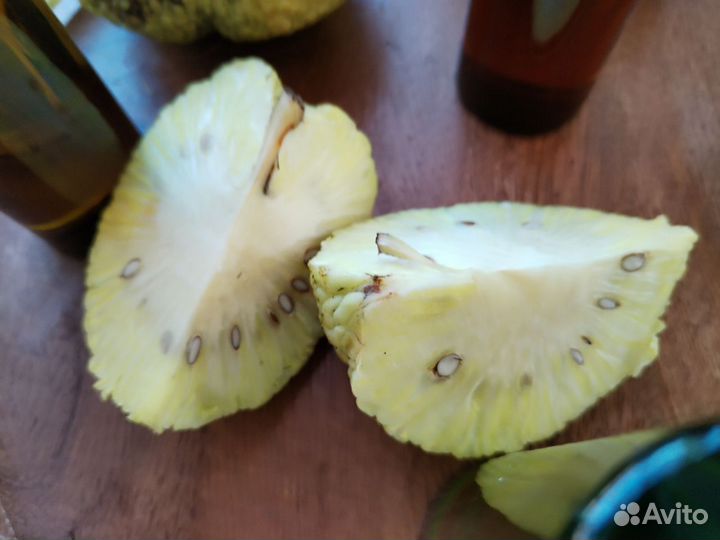 Масло, мазь Маклюры