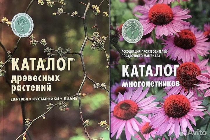 Каталог древесных растений и многолетников аппм