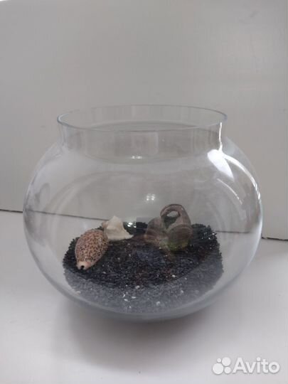 Аквариум 10 литров