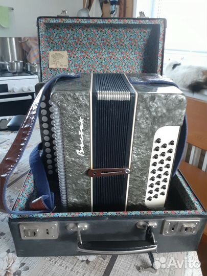 Гармонь Восток