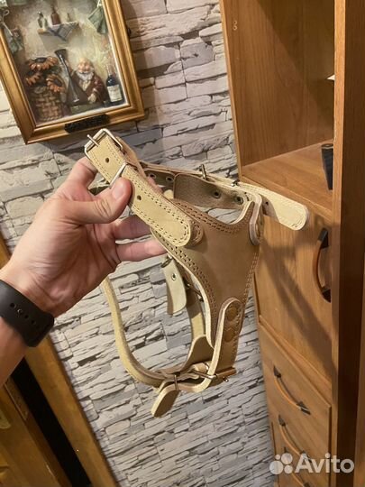 Шлейка для собаки