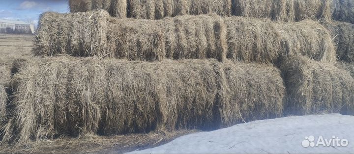 Продам Сено в рулонах