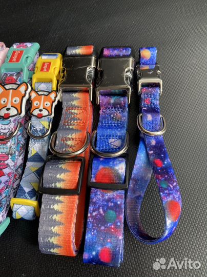 Ошейники для собак