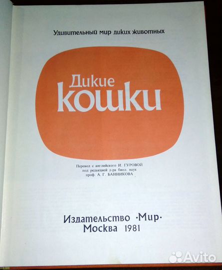 Дикие кошки