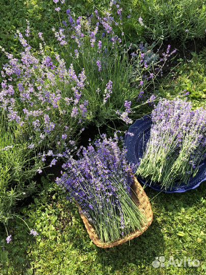 Льняные мешочки саше с лавандой