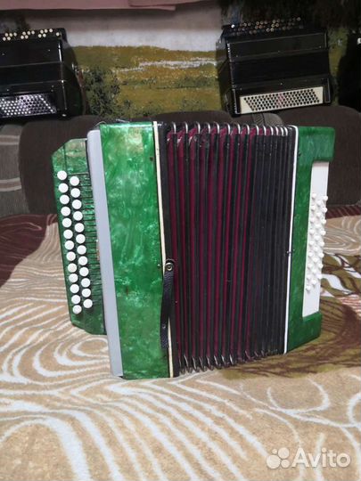 Гармонь нарач 2