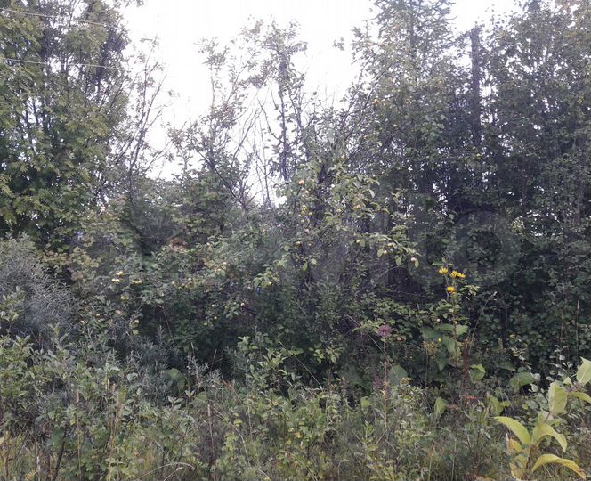 Участок 15 сот. (ИЖС)