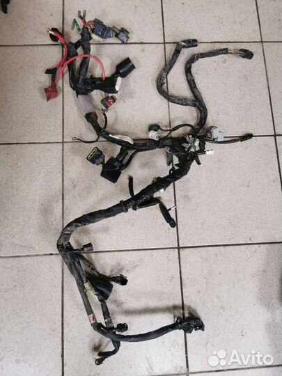 Жгут проводов Yamaha FZ8 fazer