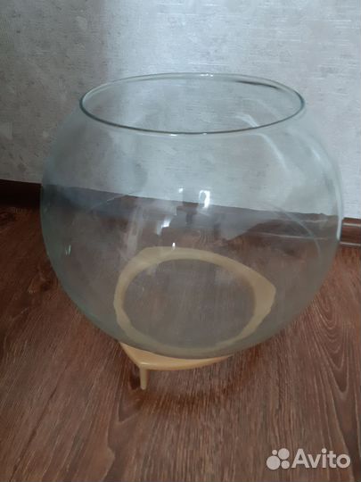 Аквариум СССР