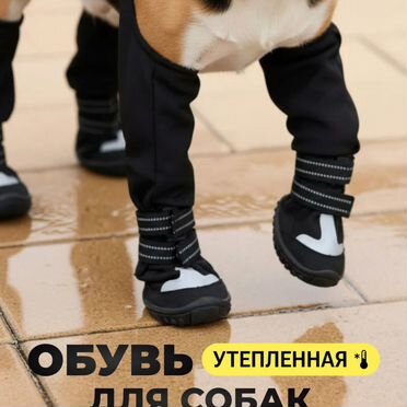 Обувь для собак
