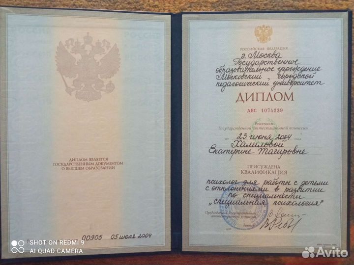 Развивающий педагог, няня