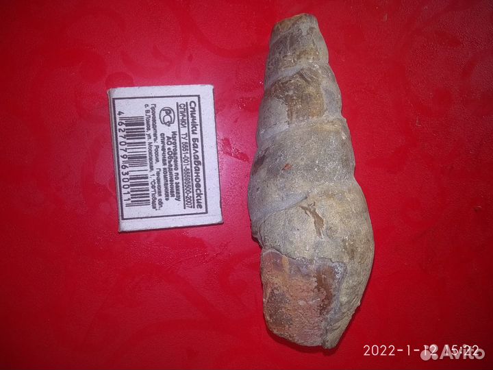 Окаменелости