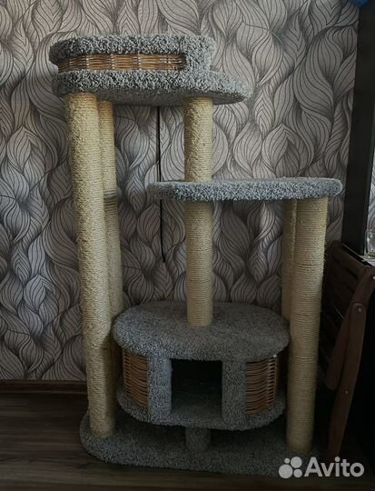 Когтеточка